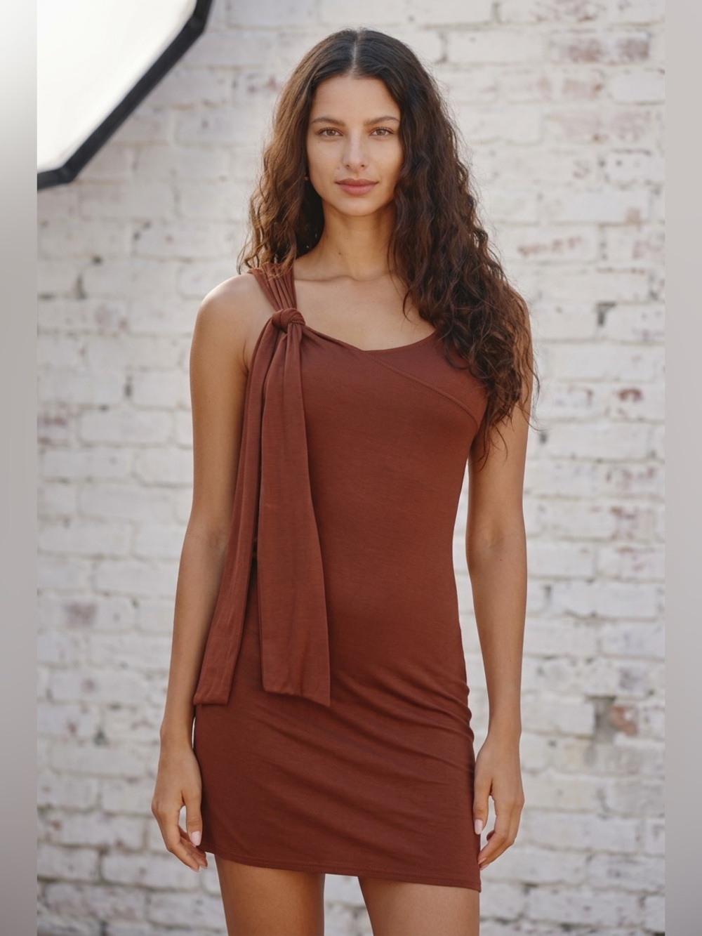 Anthropologie Brown Celandine Sleeveless Dress